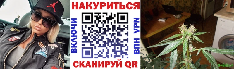 Бошки Шишки планчик  Пятигорск 